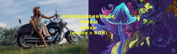 дживик Козельск