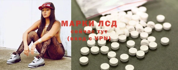 дживик Козельск