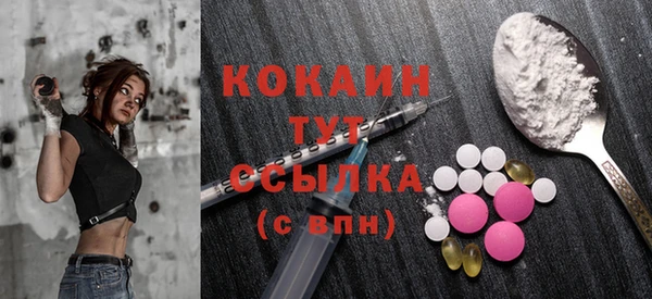 дживик Козельск