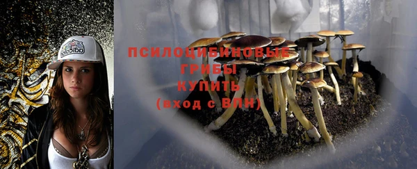 дживик Козельск