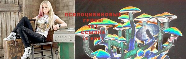 дживик Козельск